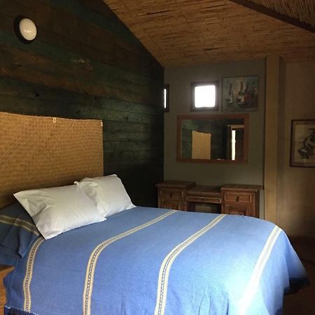 Guest House Nativo - Charming, Cozy & Affordable Валье-де-Гуадалупе Экстерьер фото